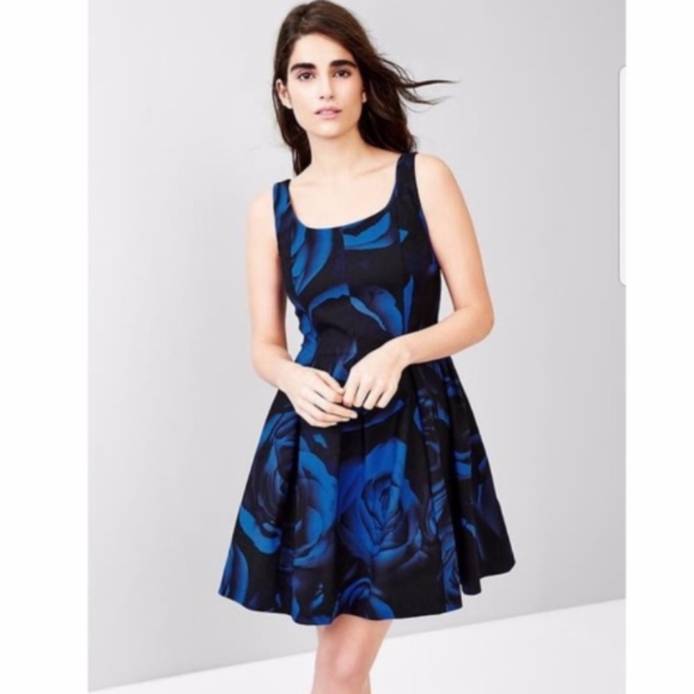 GAP Rose Print Blue and Black Fit and Flare Dress